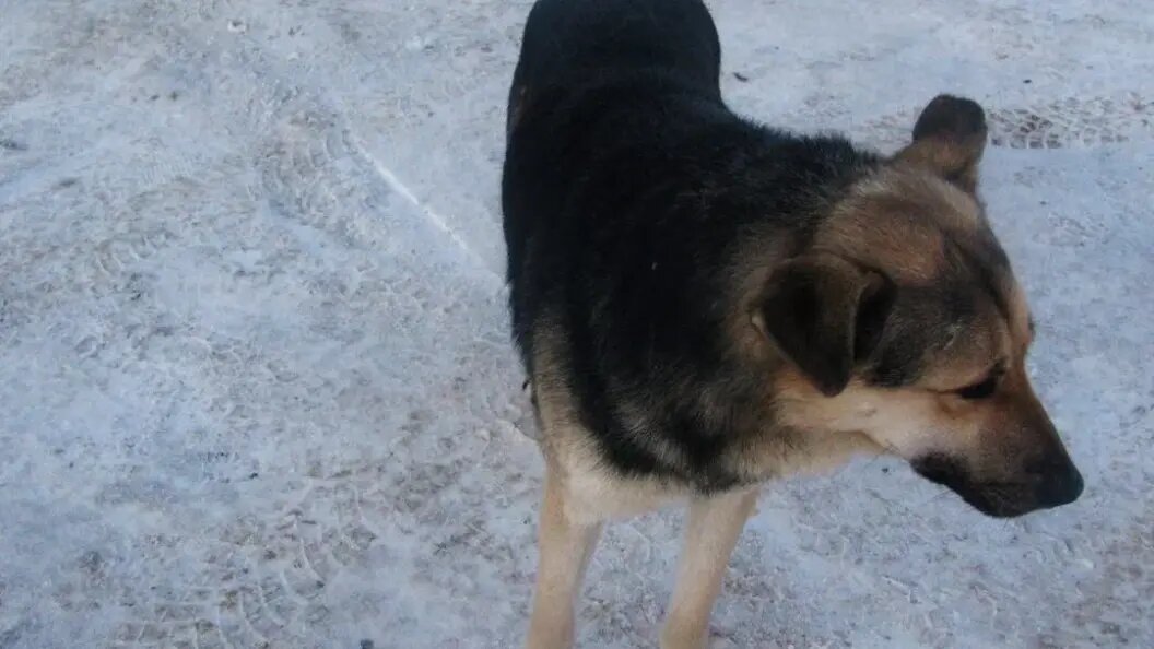    Фото: shutterstock.com