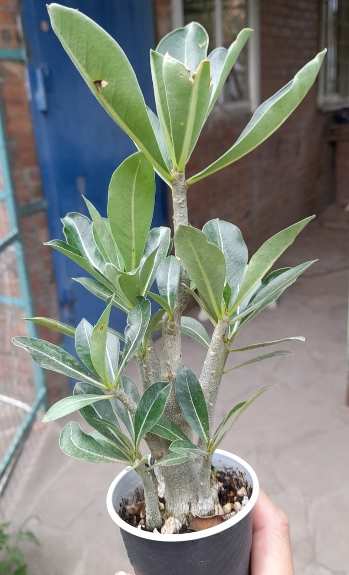 Первый день в новом доме