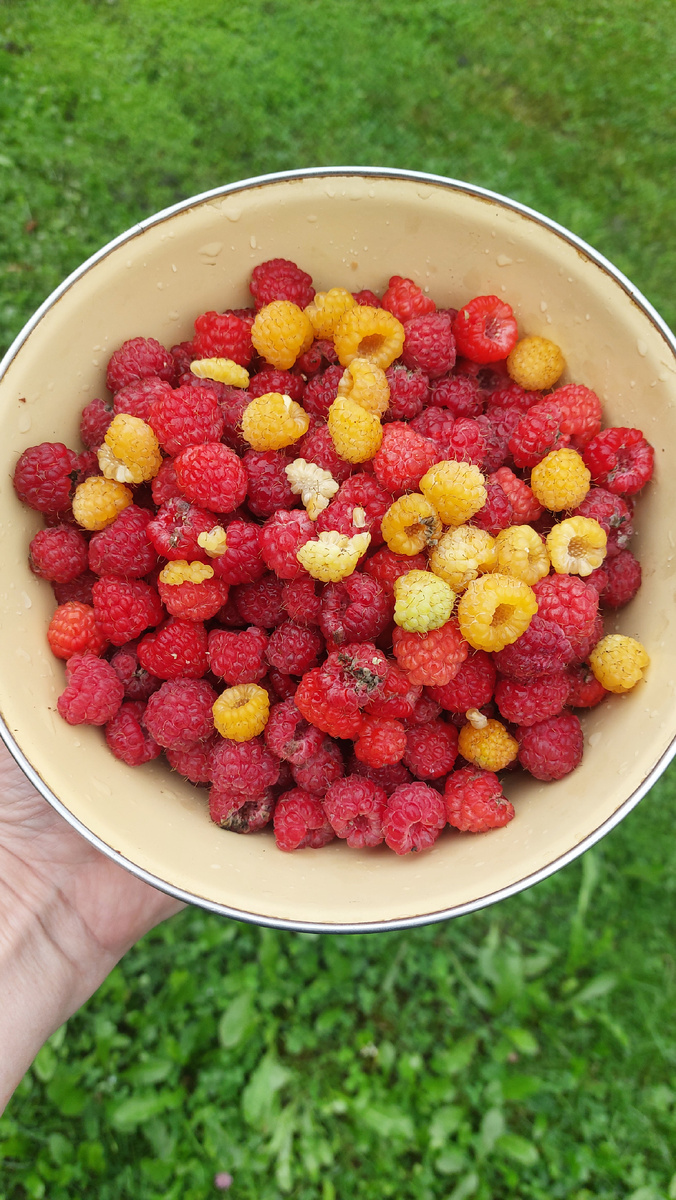 Ягода малинка!!! 