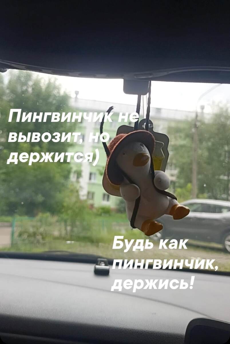 Подпишись, дальше интересней))