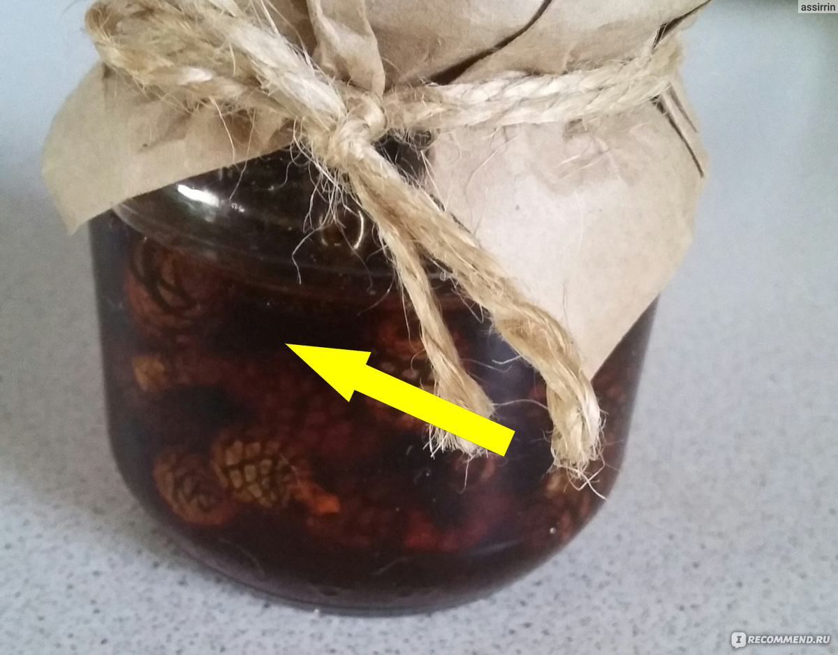    Сосновое варенье — забытый рецепт русских лекарей