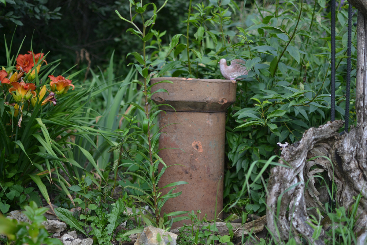 Птичка на печной трубе