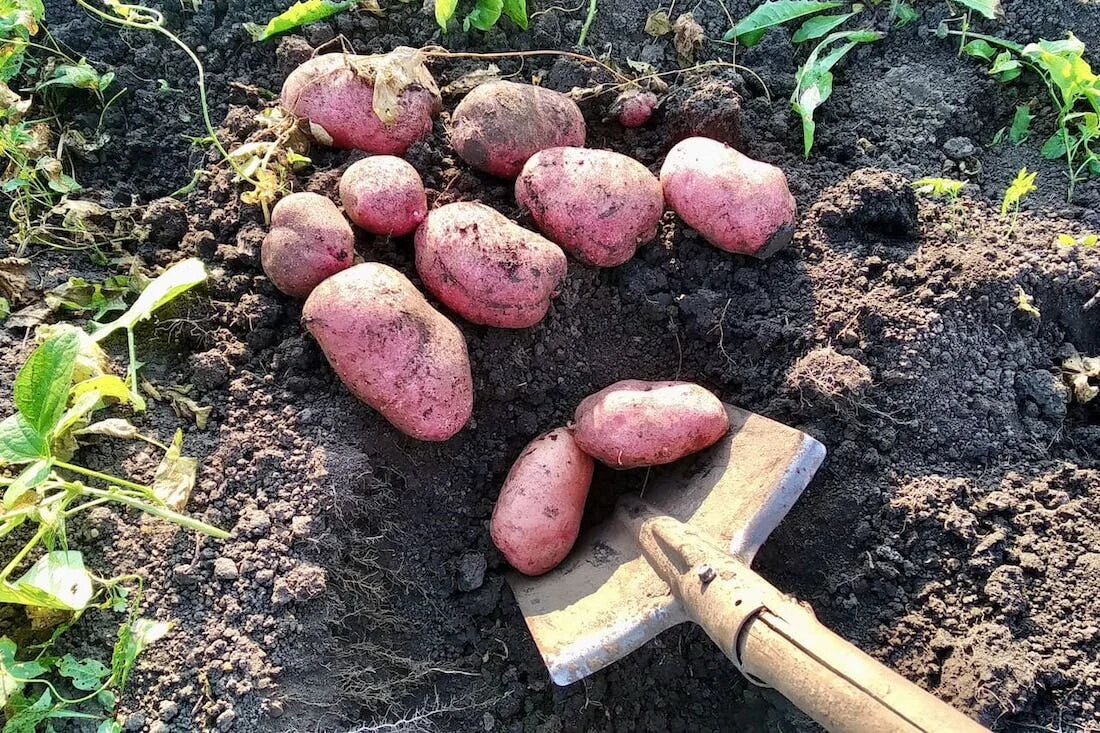 Фото: UfacityNews.ru