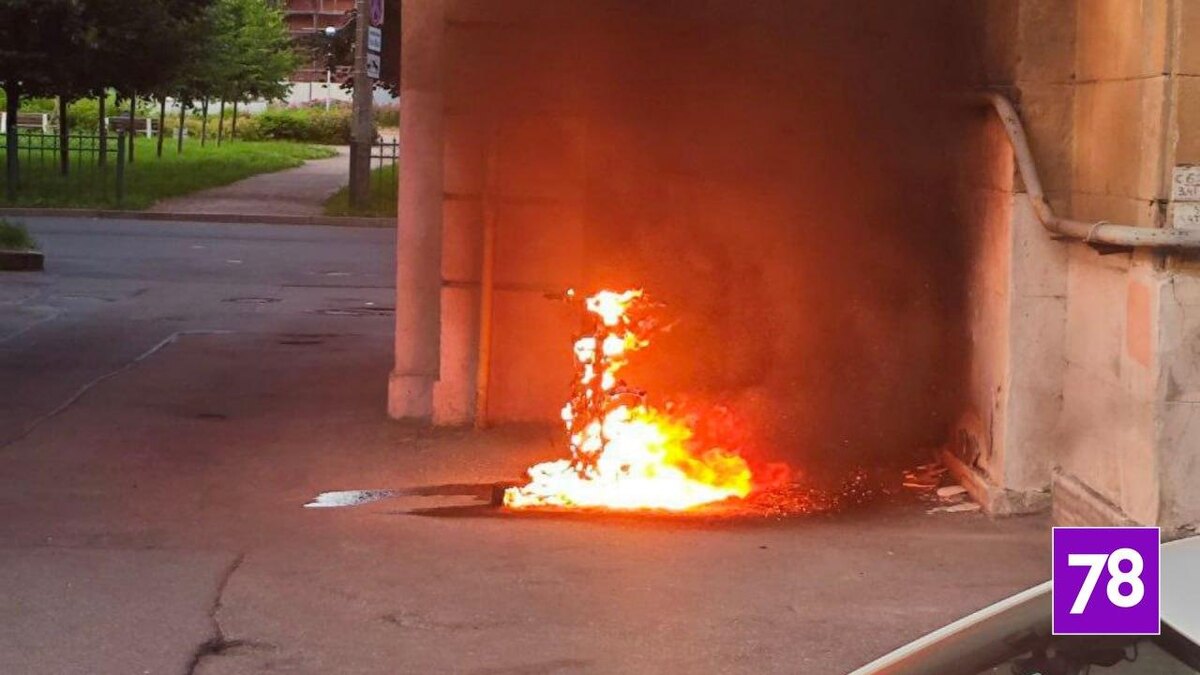    Фото: соцсети