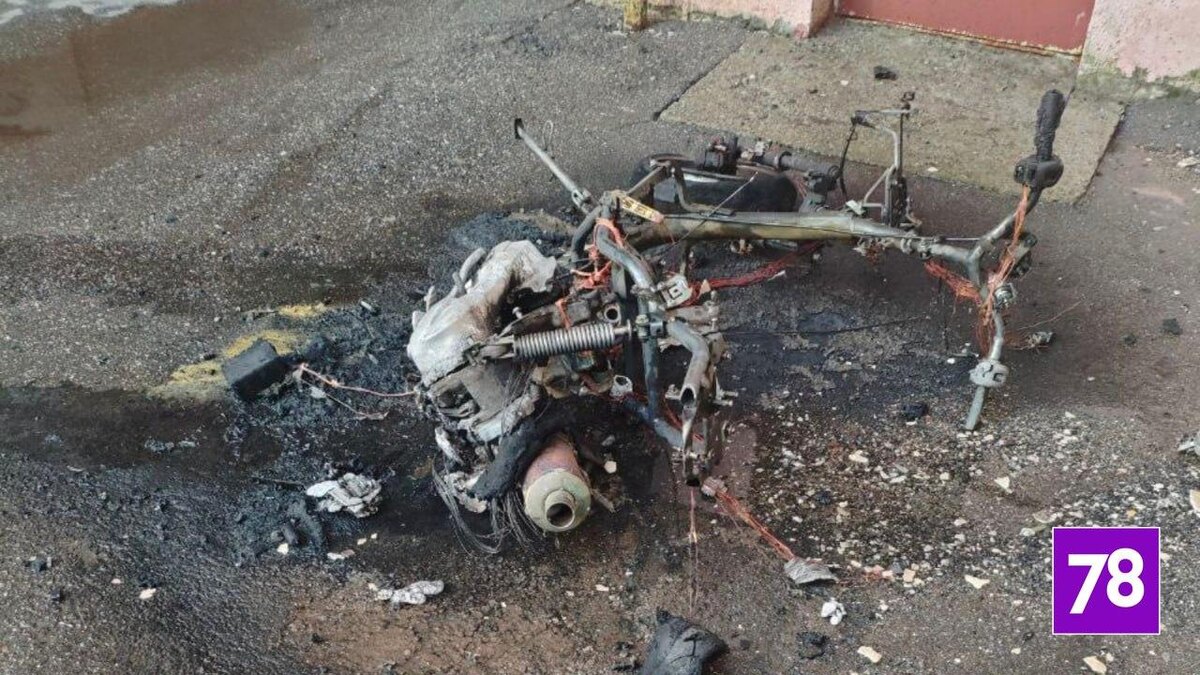    Фото: соцсети