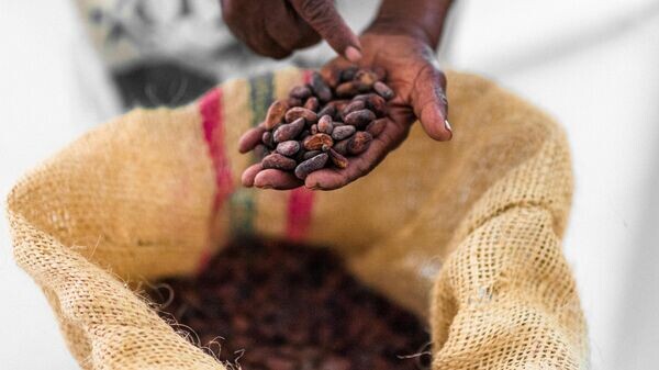    © Getty Images / Jan Sochor