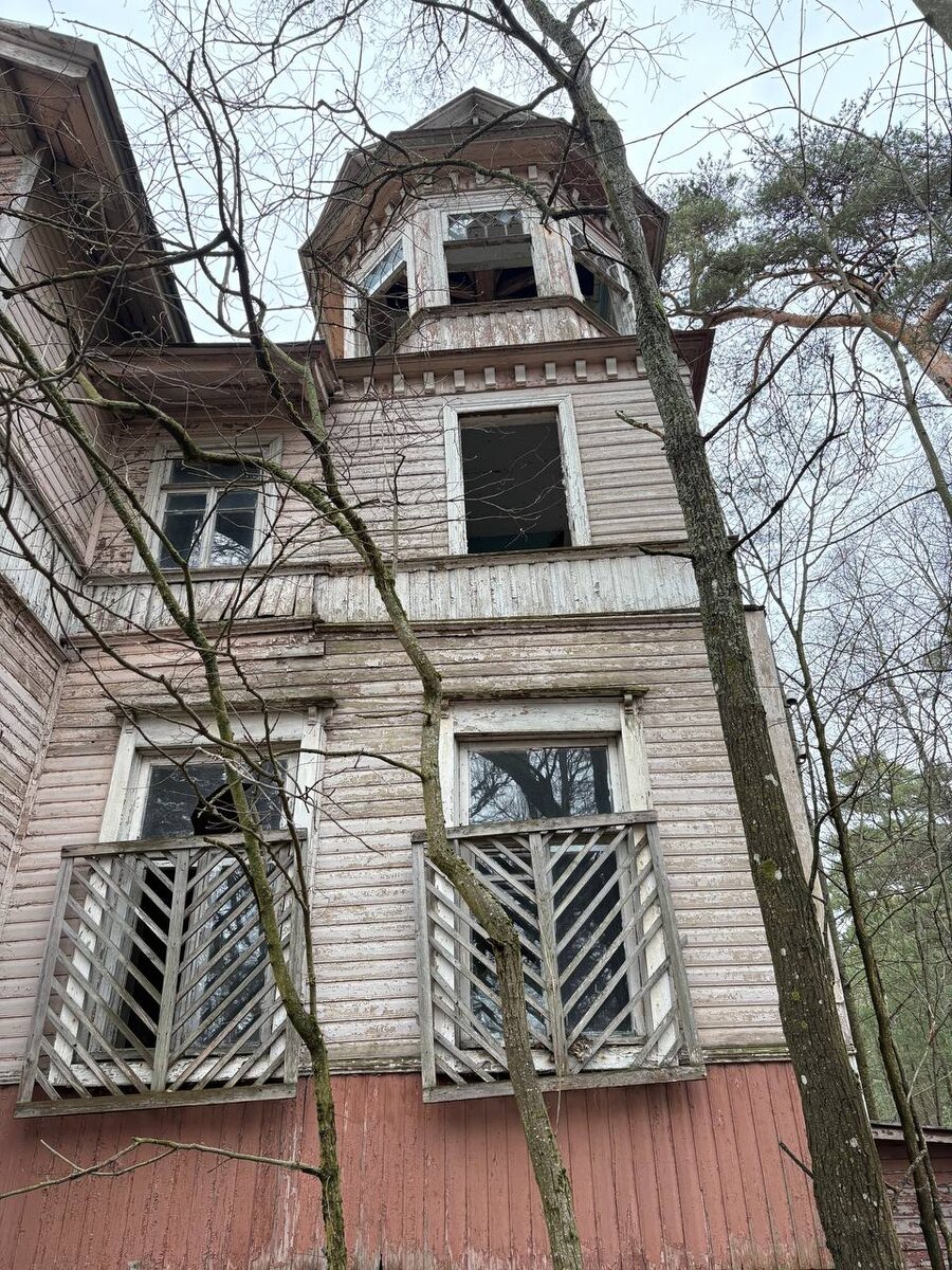 Фото моё, но сделано раньше, в этот раз даже сфоткать не удалось😡.