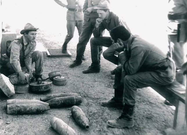 фото из интернета.