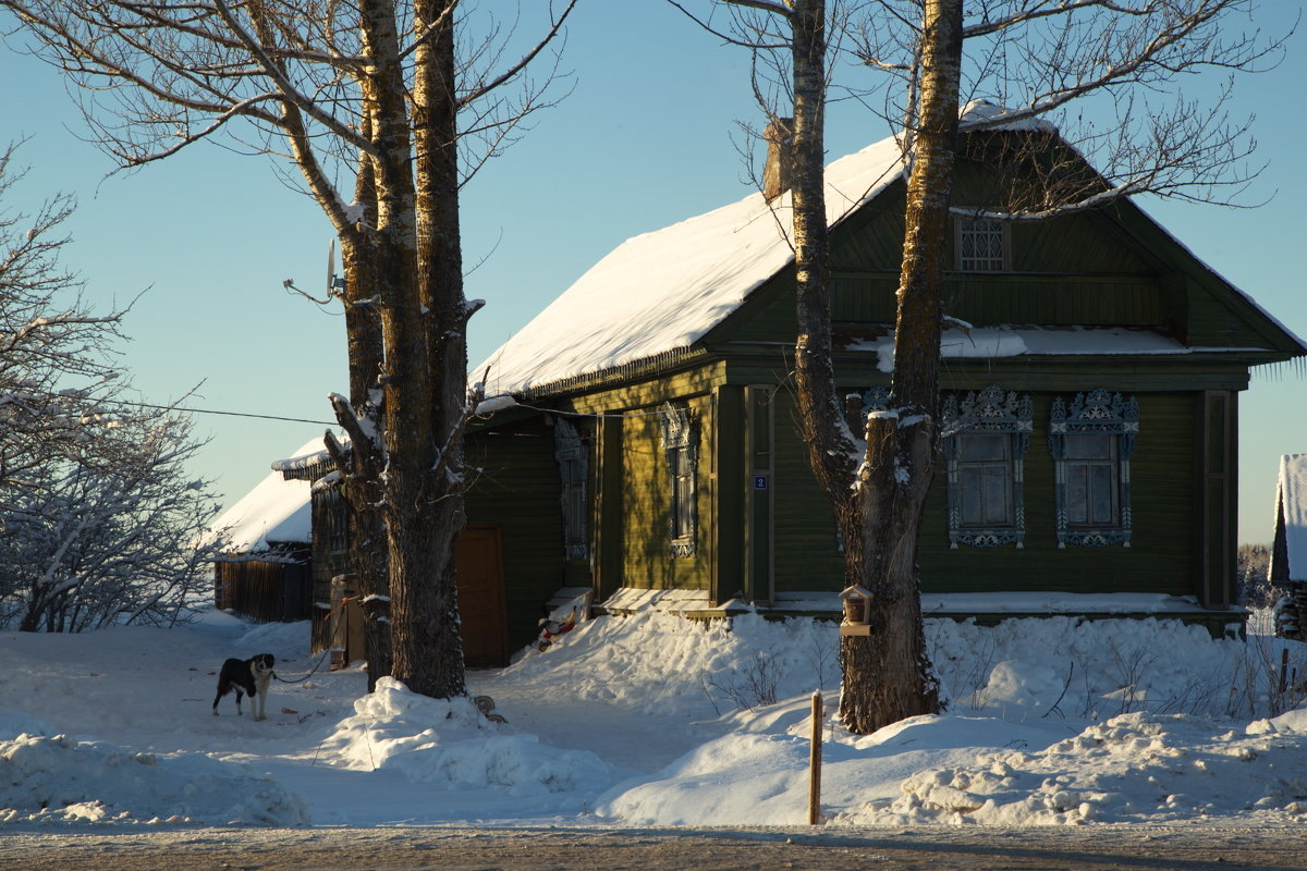 По дороге в Ярославль