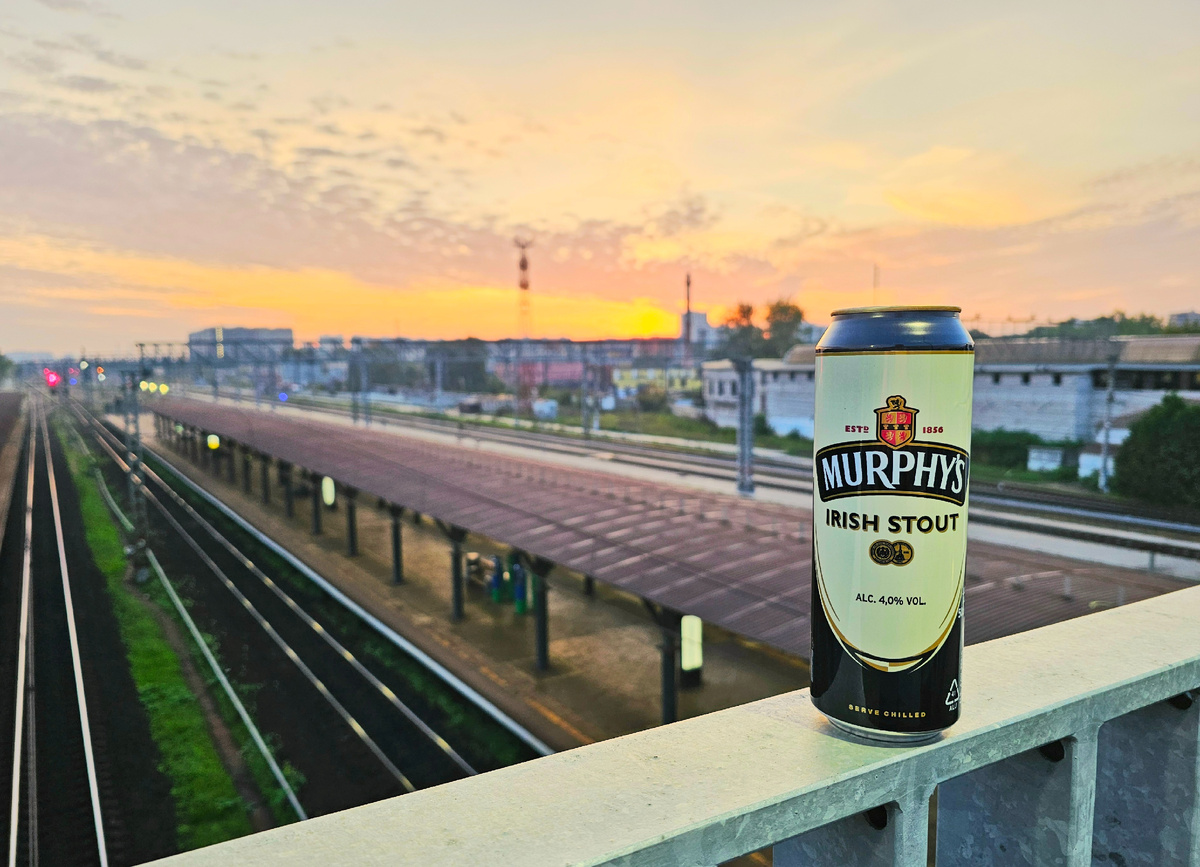 Murphys Irish Stout, фото автора
