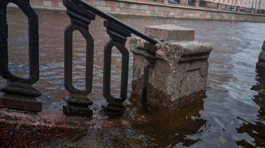    Фото: © РИА Новости/Алексей Даничев; 5-tv.ru