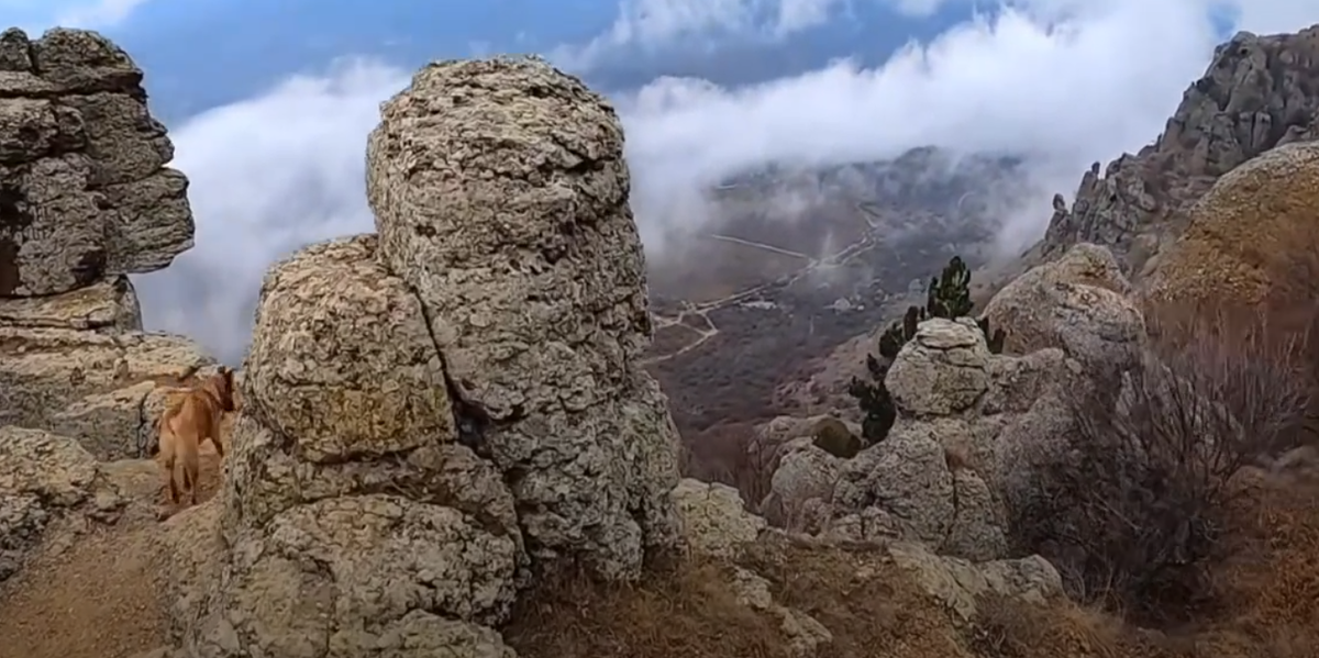 долтна привидений 