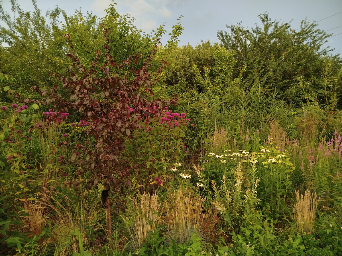Сад перед грозой