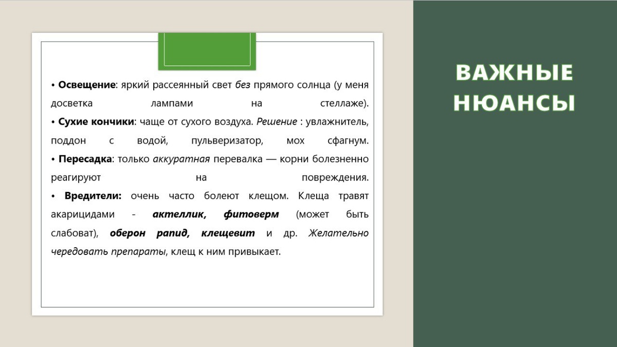 Нюансы и требования Марантовых