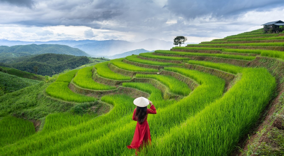 Почему туристы все чаще выбирают Вьетнам вместо Таиланда?