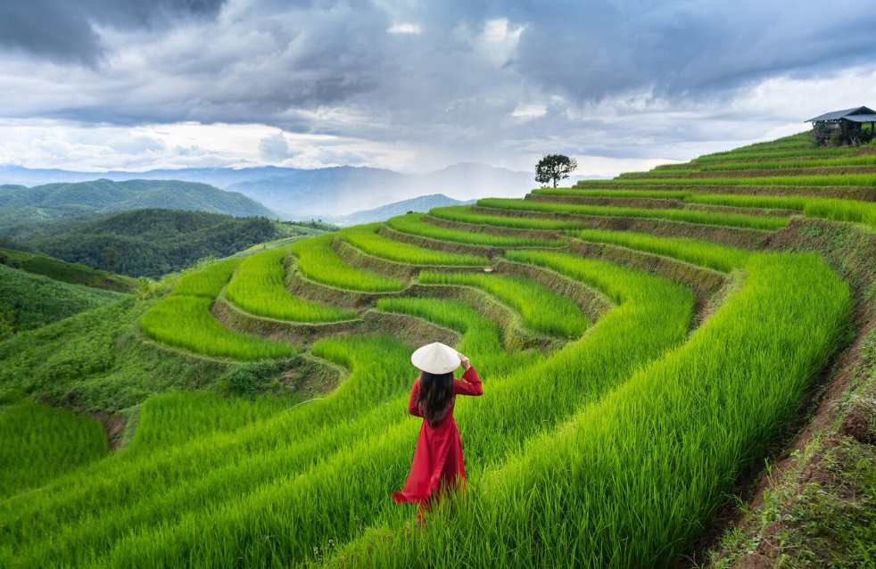 https://www.freepik.com/free-photo/asian-woman-wearing-vietnam-culture-traditional-rice-terrace-ban-pa-bong-piang-chiangmai-thailand_13250008.htm#fromView=search&page=1&position=1&uuid=ff0cab7b-1beb-433b-89d9-396c4ef10f2a&query=%D0%B2%D1%8C%D0%B5%D1%82%D0%BD%D0%B0%D0%BC