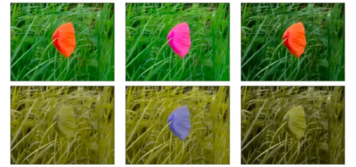    Dmitry Sidorchuk et al. / Journal of Imaging (2025)