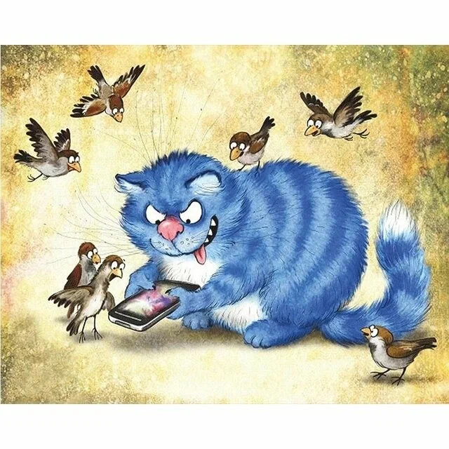 котик Рины Зенюк