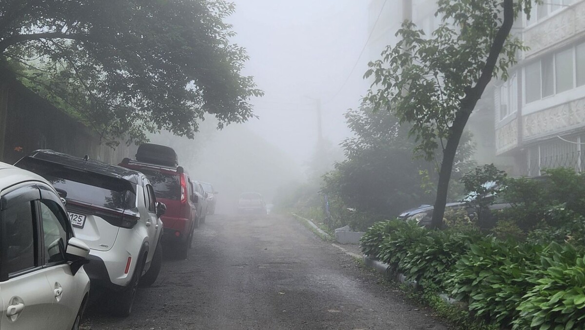     Источник: vostokmedia.com