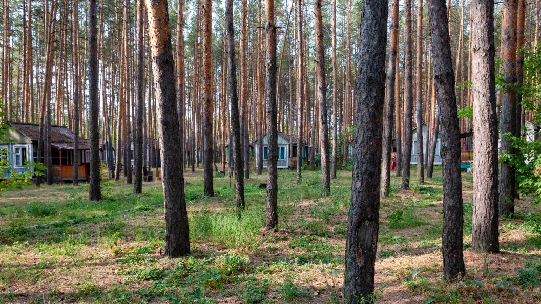    Svetlana Vozmilova/Global Look Press