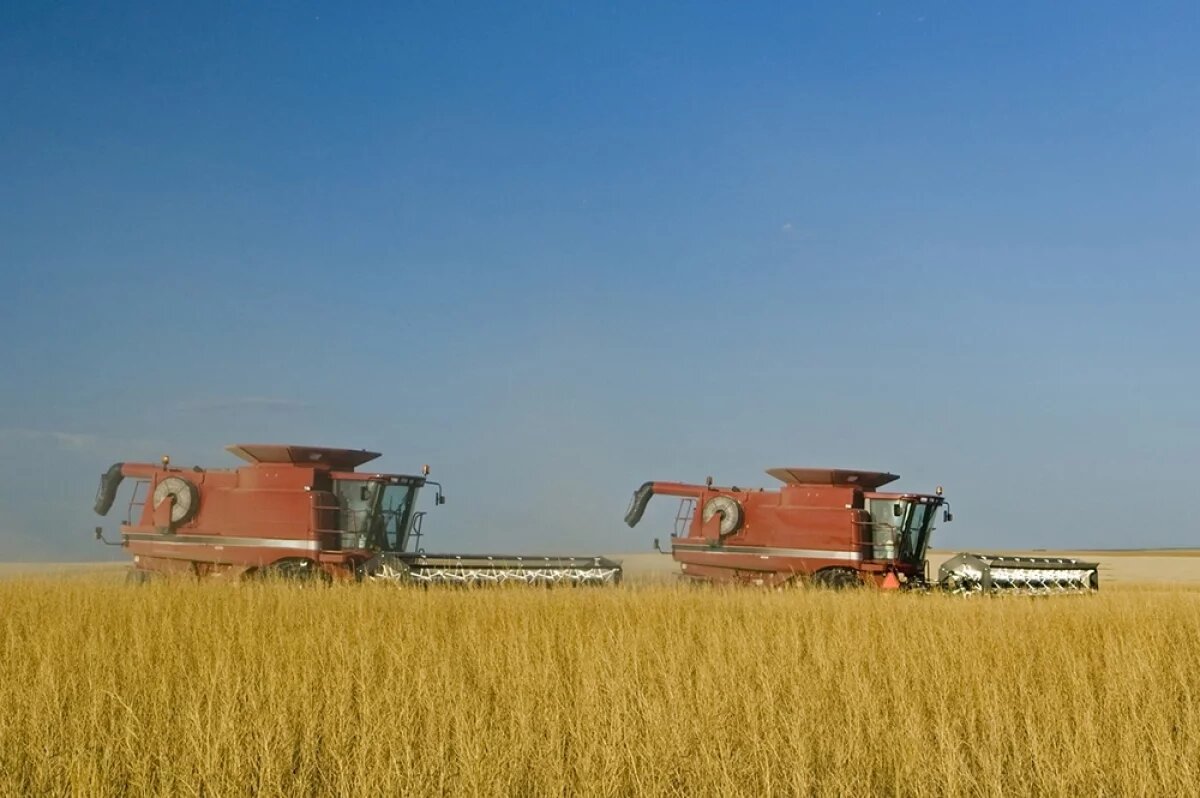    Эффект солярки.