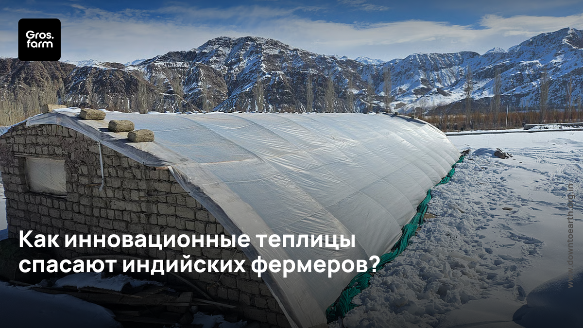 Традиционная ладакхская теплица зимой