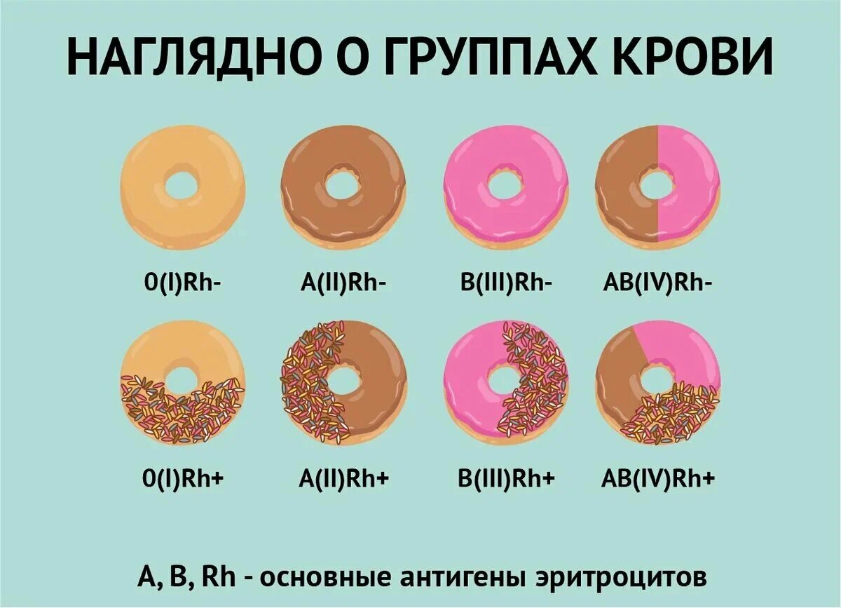 Группы крови по типам и резусам наглядно ☺️