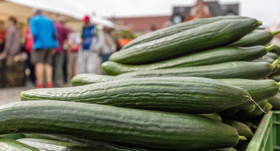    Frank Hammerschmidt/dpa / www.globallookpress.com