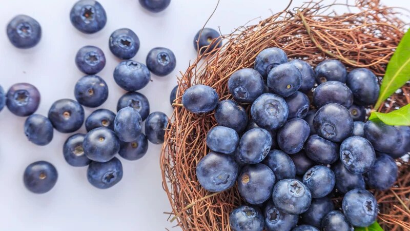     Черника. freepik.com/4045