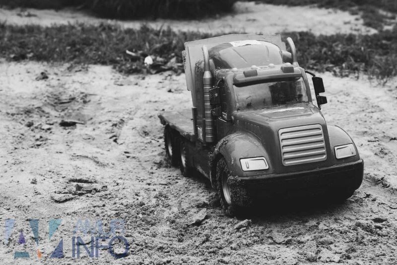    Фото: Амур.инфо