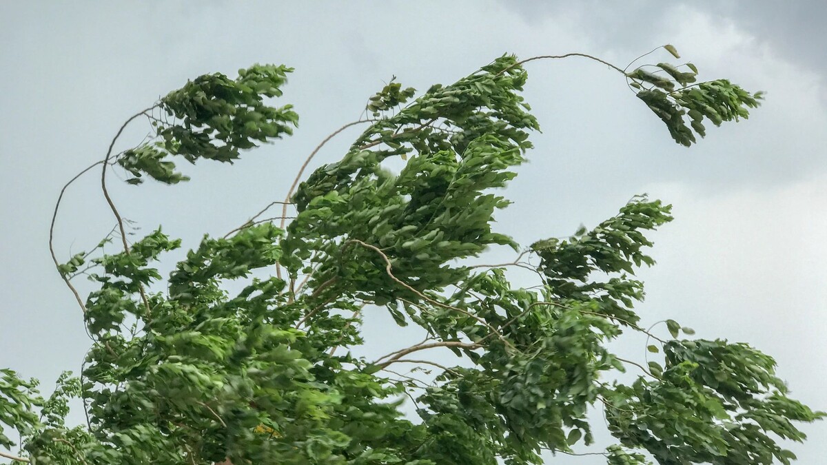    Фото: moxumbic/Shutterstock/Fotodom