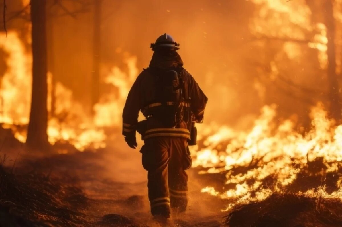    За год новосибирские огнеборцы почти 2800 раз выезжали на ложные вызовы