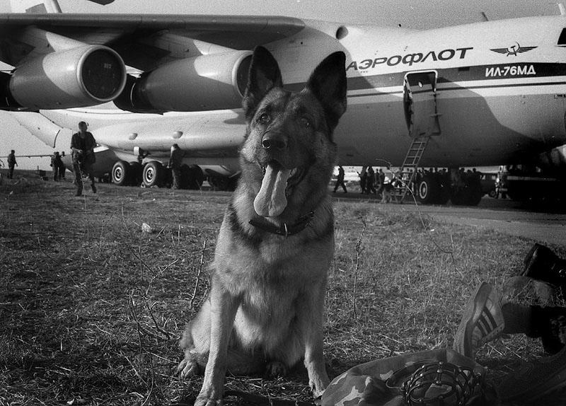 Фото из Яндекса. Спасибо автору. 