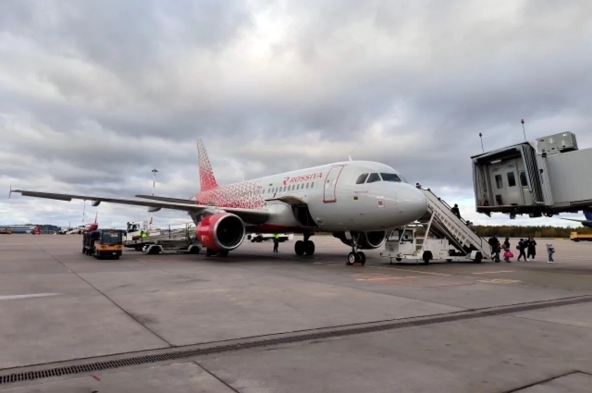    Аэропорт Пулково примет рейсы, перенаправленные из Москвы