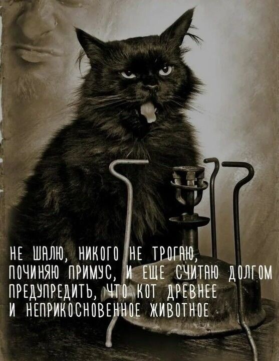 Из открытого источника. 