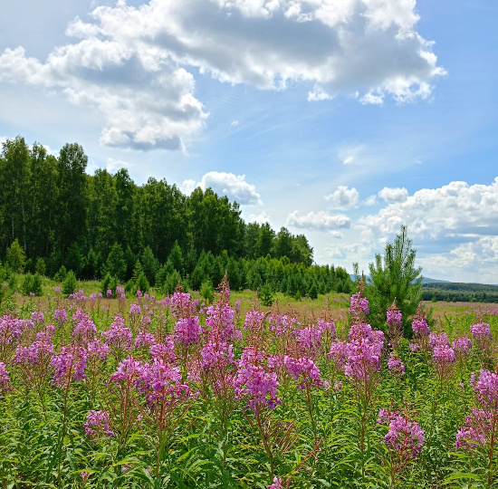 Фотографии автора.