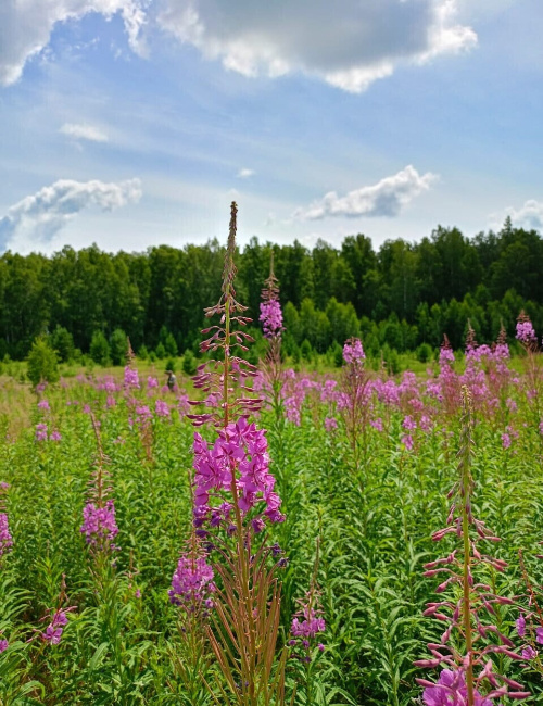 Фотографии автора.
