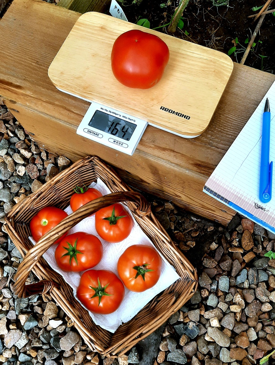 Фото автора.