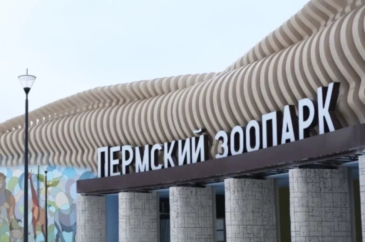    Дату открытия площадки на Нагорном пока не озвучили.