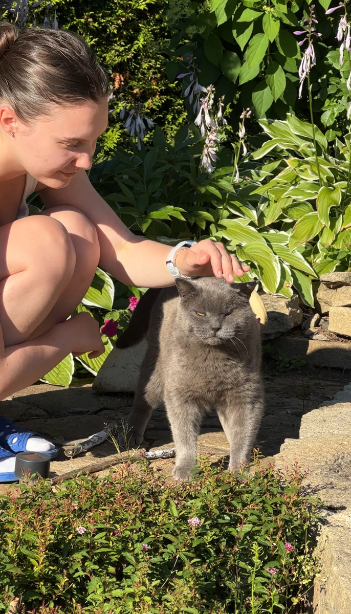 Рони - соседский кот, потерявший в бою с Сажиком глаз