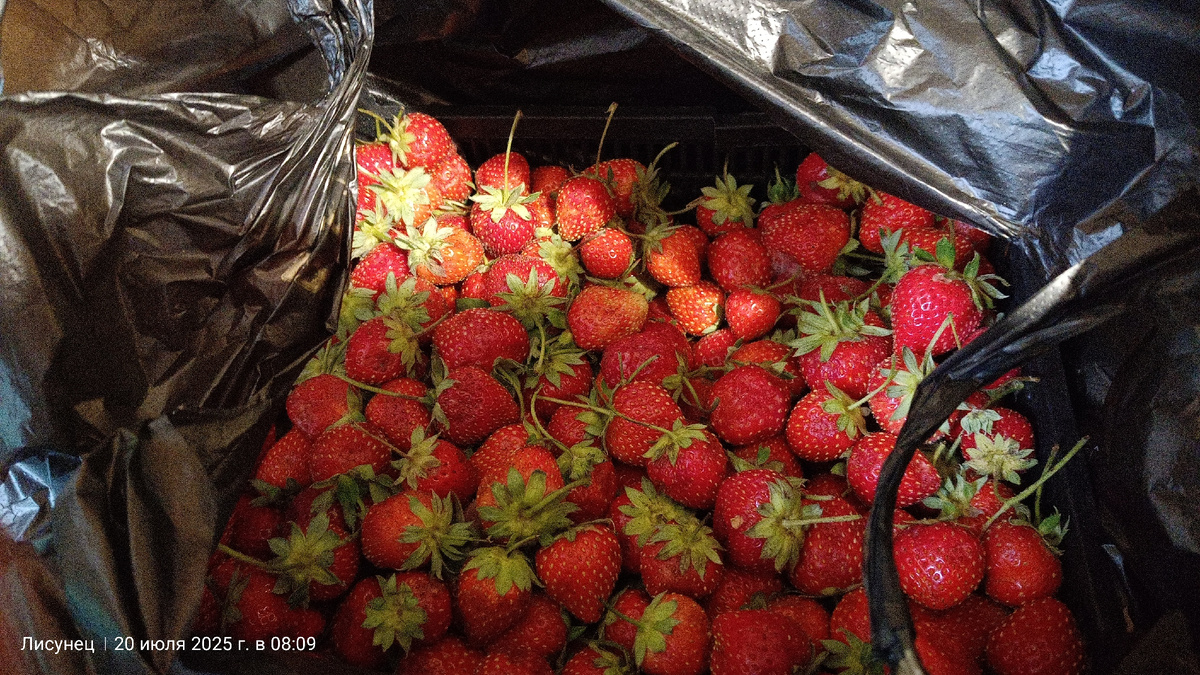 Личное фото