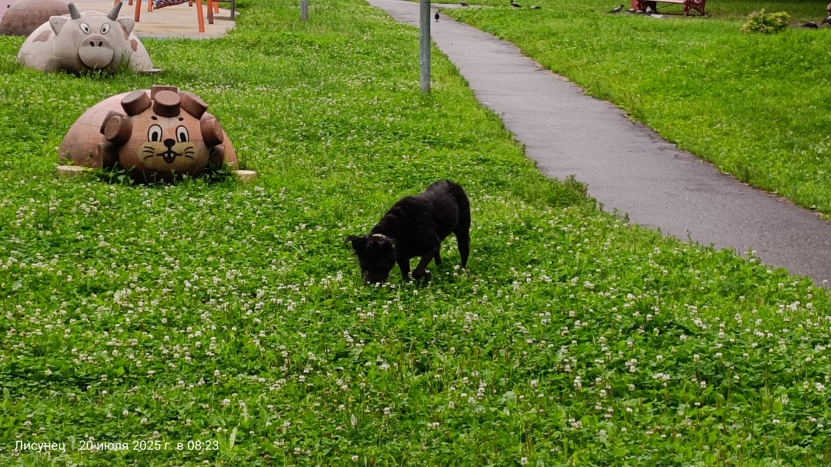 Фото лИчное