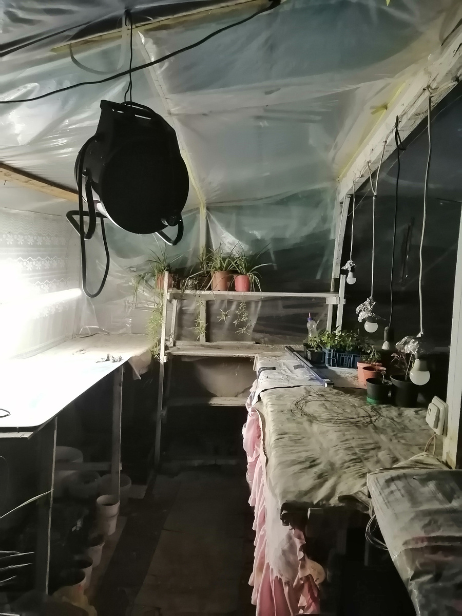 Часть моей зимней теплицы осенью 