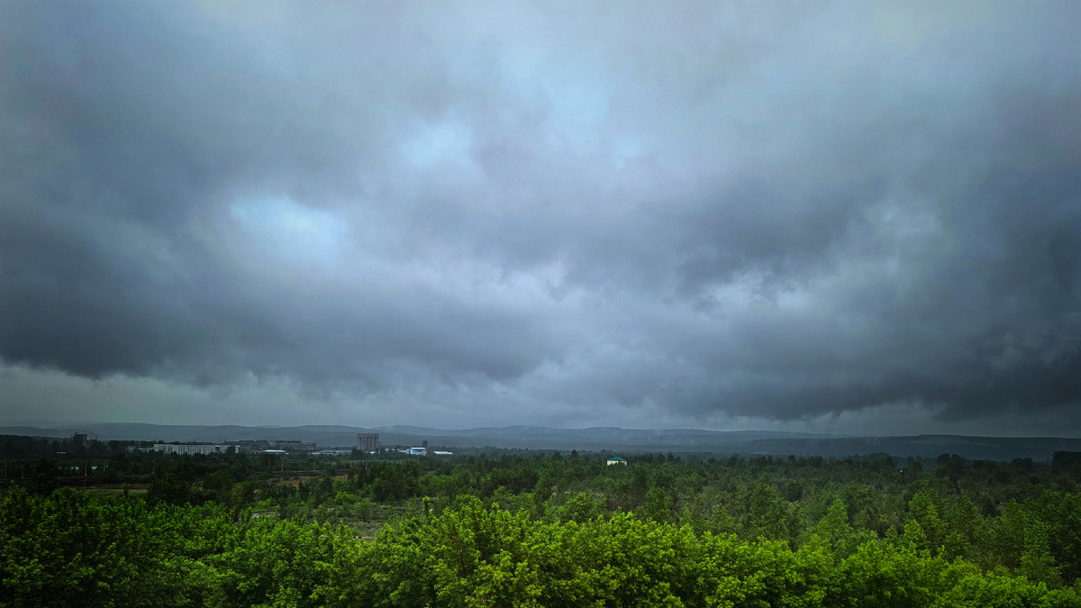 Сибирское лето 2025г. Фото автора.