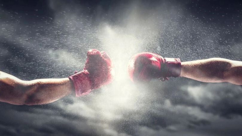    Фото: PHOTOCREO Michal Bednarek/Shutterstock/Fotodom