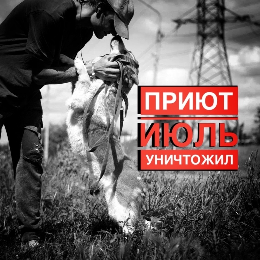 Нам необходима помощи! Приют без вас БЕМОЩЕН!