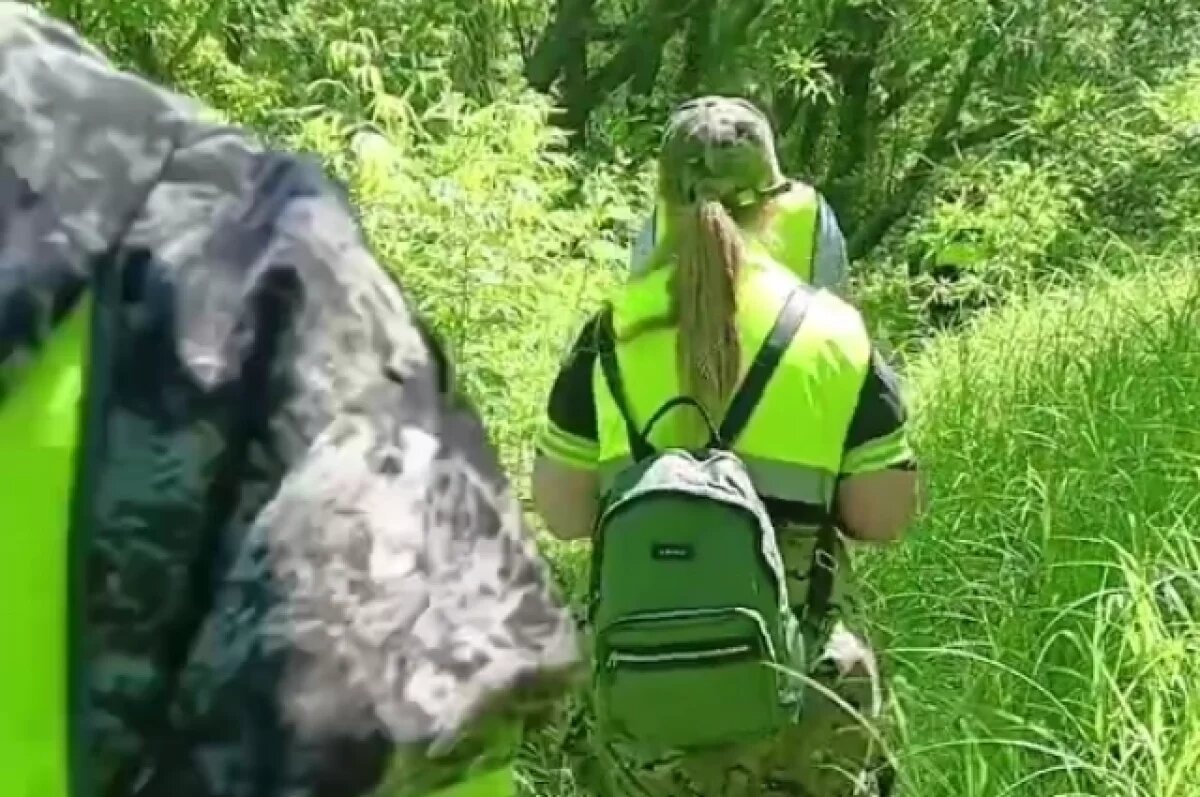    На Камчатке волонтеры ищут помощников в поиске пропавшего мужчины