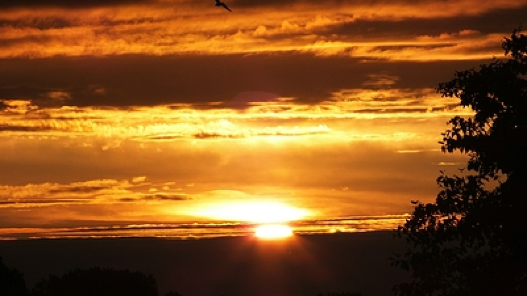    Фото: Victor Lisitsyn, Виктор Л/Globallookpress