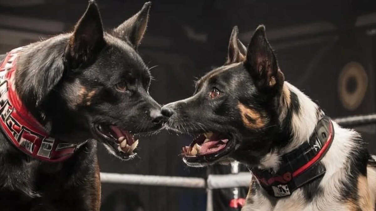    Сгенерировано ИИ