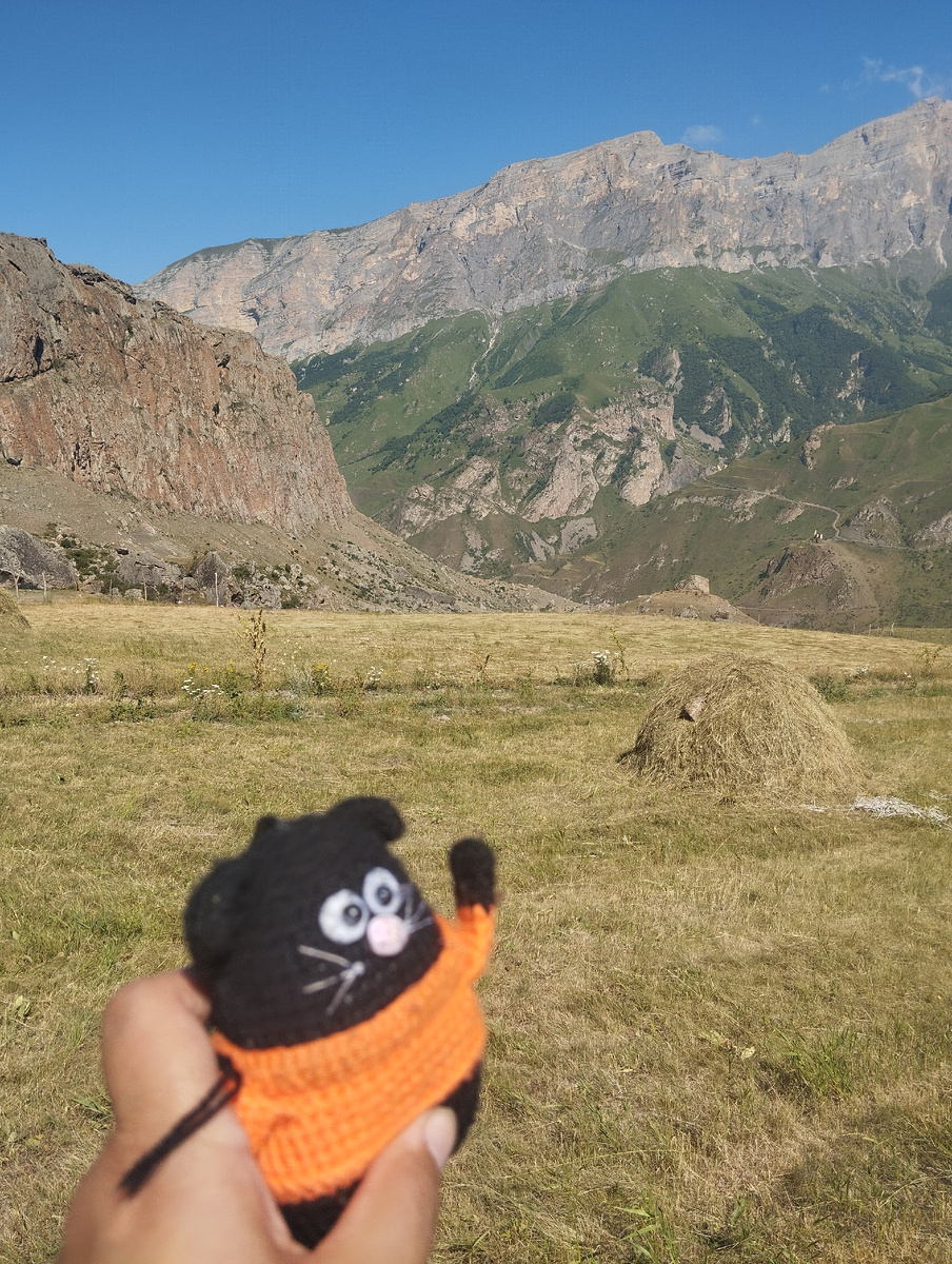 Привет от путешествующего кота из Кабардино-Балкарии!